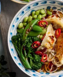 Gyoza Noodle Bowls