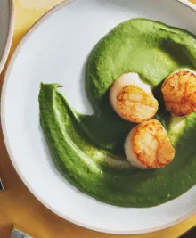 Scallops With Creamy Spinach Sauce